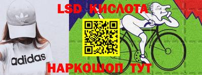 прущие грибы Будённовск