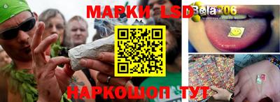 прущие грибы Будённовск
