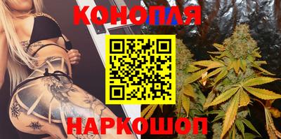 прущие грибы Будённовск