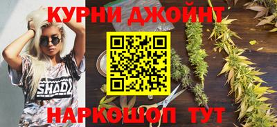 прущие грибы Будённовск