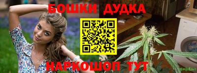 прущие грибы Будённовск