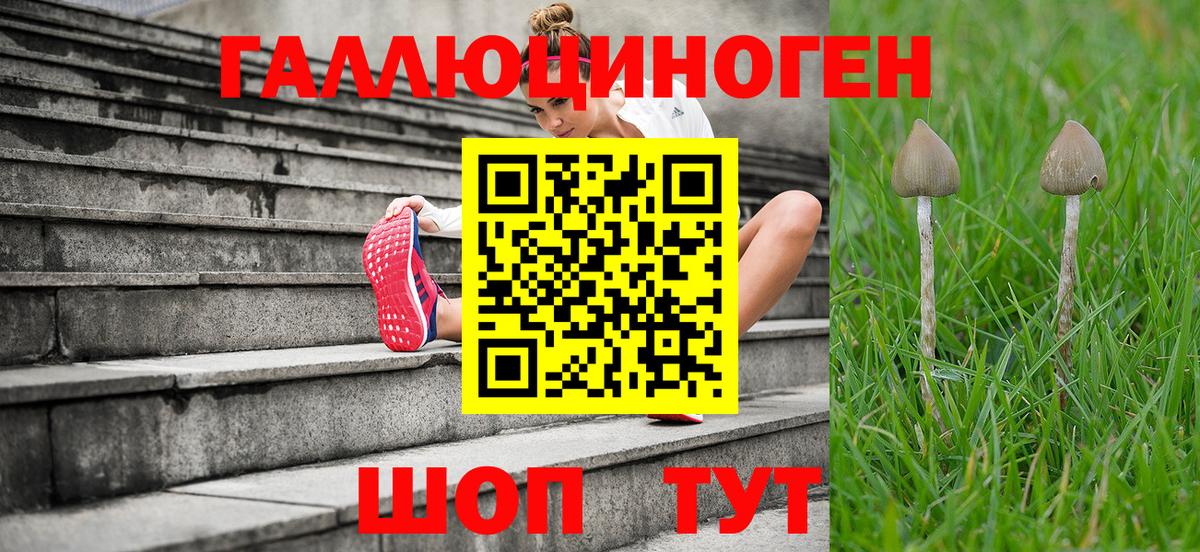 Галлюциногенные грибы мицелий Раменское
