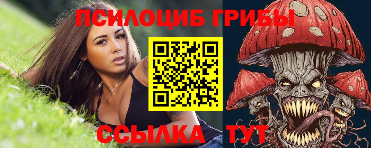 Псилоцибиновые грибы Psilocybe  купить наркотик  Раменское  Вход с VPN 